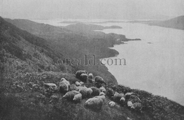 LOCH LOMOND FROM BEN LOMOND, A MECCA OF VISITORS IN THE COUNTRY OF THE MACGREGORS AND COLQUHOUNS LOCH LOMOND FROM BEN LOMOND, A MECCA OF VISITORS IN THE COUNTRY OF THE MACGREGORS AND COLQUHOUNS