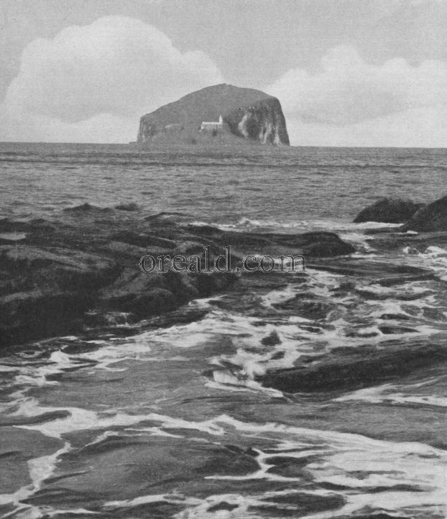 BASS ROCK AND ITS LIGHTHOUSE IN THE FIRTH OF FORTH BASS ROCK AND ITS LIGHTHOUSE IN THE FIRTH OF FORTH