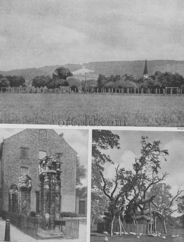 NORWICH PRIORY, THE COWTHORPE OAK AND WHITELEAF OF THE CHILTERNS NORWICH PRIORY, THE COWTHORPE OAK AND WHITELEAF OF THE CHILTERNS