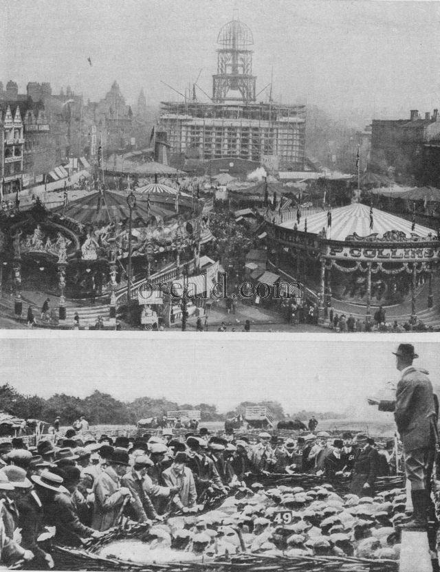 SHEEP FAIR OF WEYHILL AND THE GOOSE FAIR, NOTTINGHAM SHEEP FAIR OF WEYHILL AND THE GOOSE FAIR, NOTTINGHAM
