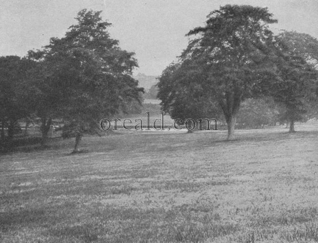 SENLAC, THE SUSSEX HILL WHERE THE LAND OF ENGLAND CHANGED HANDS SENLAC, THE SUSSEX HILL WHERE THE LAND OF ENGLAND CHANGED HANDS