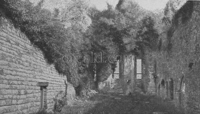 SCANT RUINS OF CYMMER NEAR DOLGELLY SCANT RUINS OF CYMMER NEAR DOLGELLY