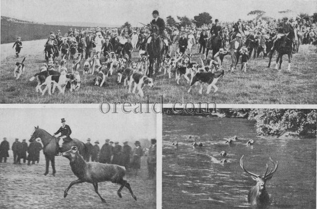 STAG HUNTING IN THE SOUTH COUNTRY: WITH THE DEVON AND SOMERSET AND THE BERKS AND BUCKS STAG HUNTING IN THE SOUTH COUNTRY: WITH THE DEVON AND SOMERSET AND THE BERKS AND BUCKS