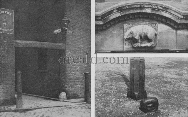 PRESENT DAY RELICS OF BEAR AND BULL BAITING PRESENT DAY RELICS OF BEAR AND BULL BAITING