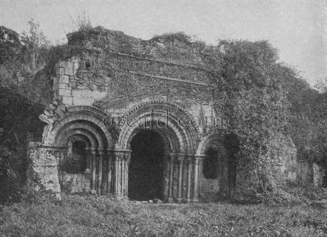 NORMAN ARCHES OF HAUGHMOND'S TWELFTH CENTURY CHAPTER HOUSE NORMAN ARCHES OF HAUGHMOND'S TWELFTH CENTURY CHAPTER HOUSE