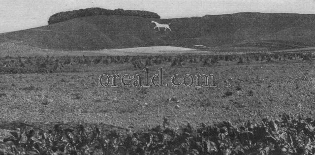 WHERE A DOCTOR FROM CALNE CARVED A HORSE ON CHERHILL DOWNS WHERE A DOCTOR FROM CALNE CARVED A HORSE ON CHERHILL DOWNS