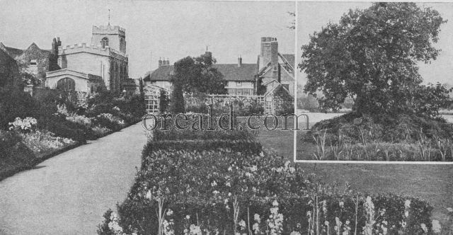NEW PLACE GARDEN AND ITS FAMOUS MULBERRY TREE NEW PLACE GARDEN AND ITS FAMOUS MULBERRY TREE
