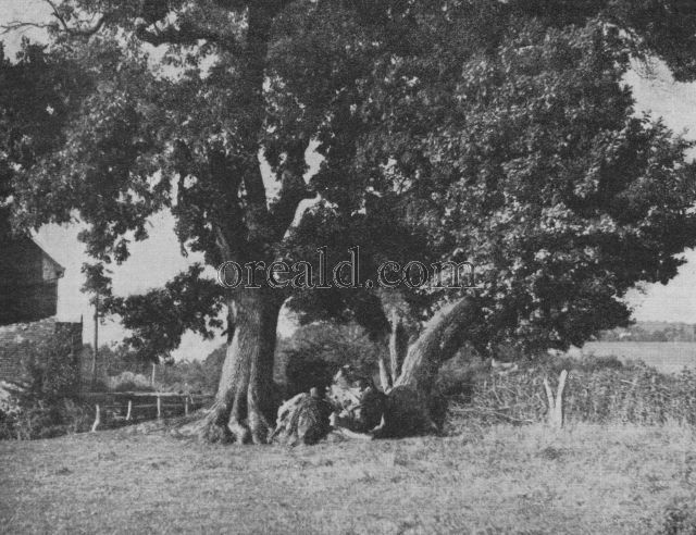 Landmark of Battle of Mortimers Cross, Near Leominister Landmark of Battle of Mortimers Cross, Near Leominister
