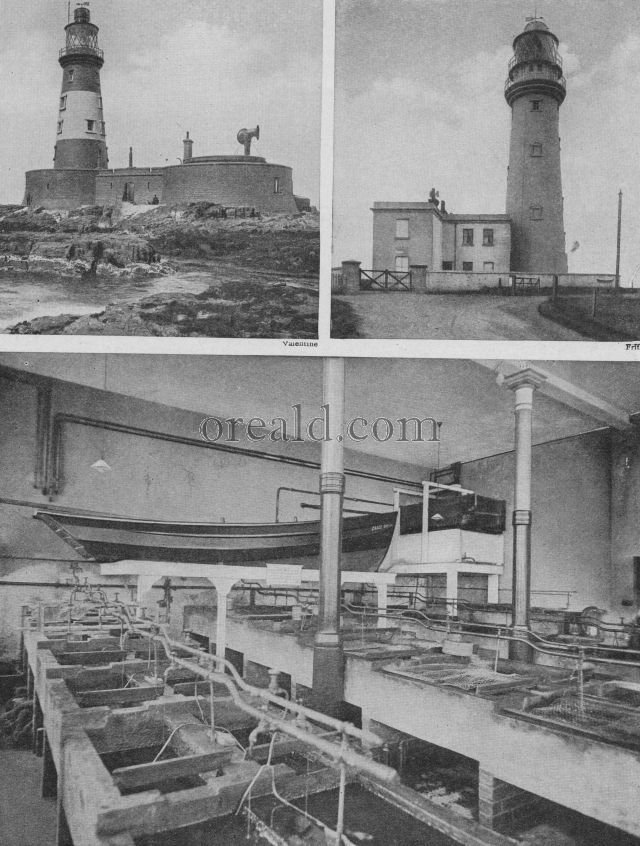 Grace Darling's boat: Longstone and Flamborough Lights Grace Darling's boat: Longstone and Flamborough Lights